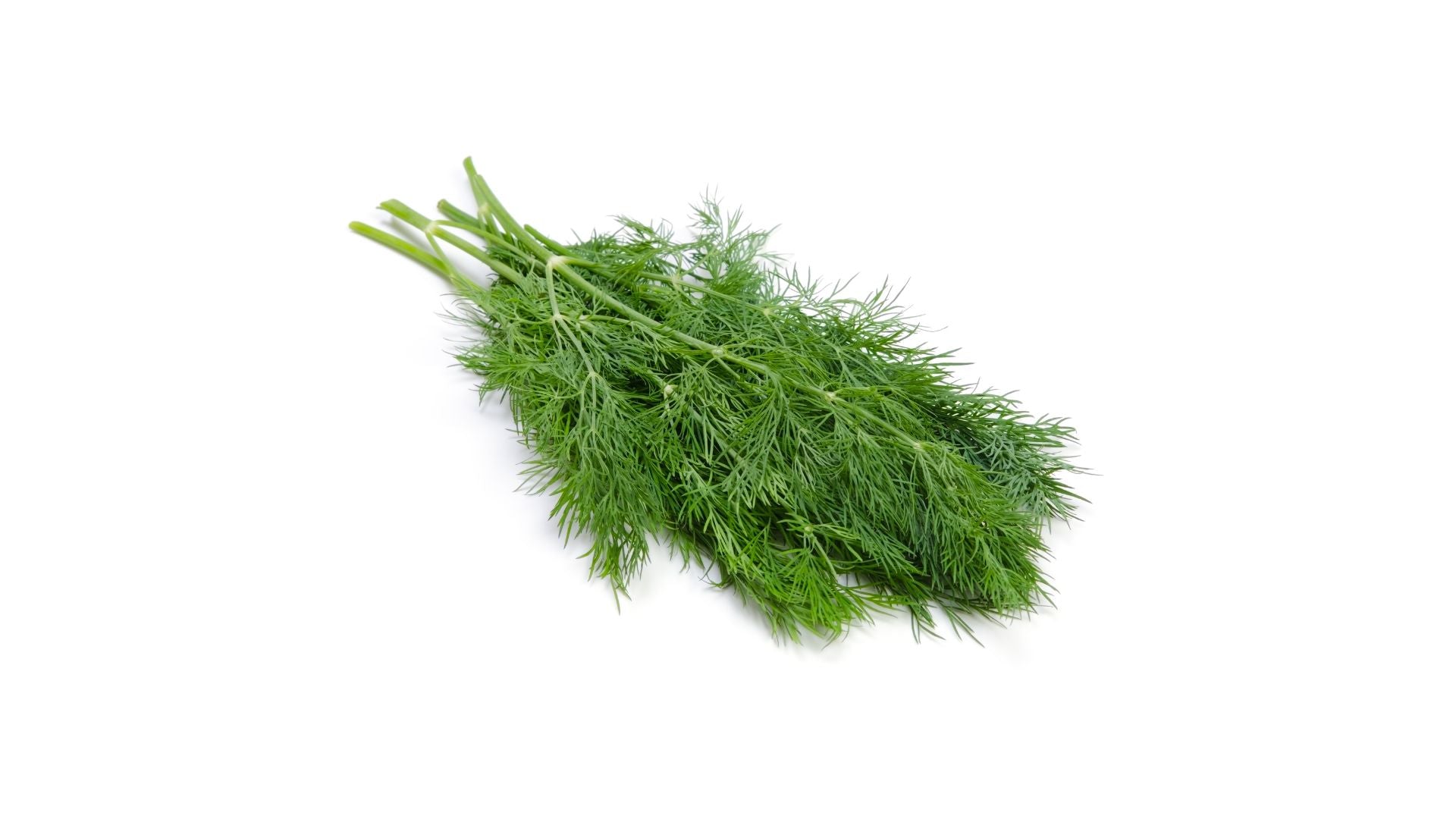 Fresh Dill each