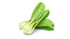 Fresh Bok Choy