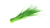 Fresh Chives Bunch