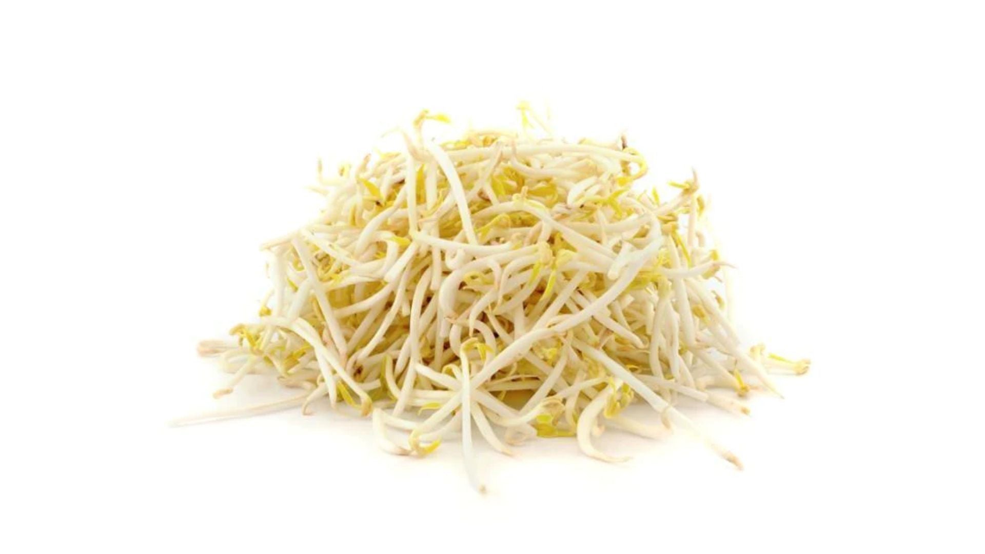 Fresh Bean Shoots 250g