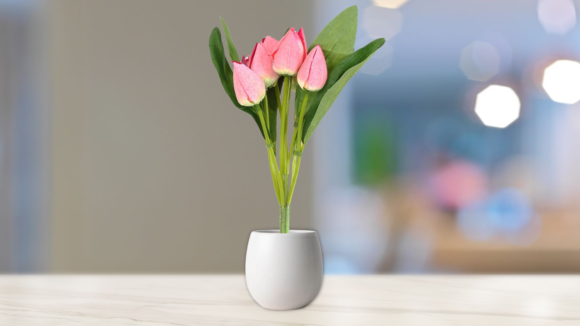 Fresh Tulips Pot