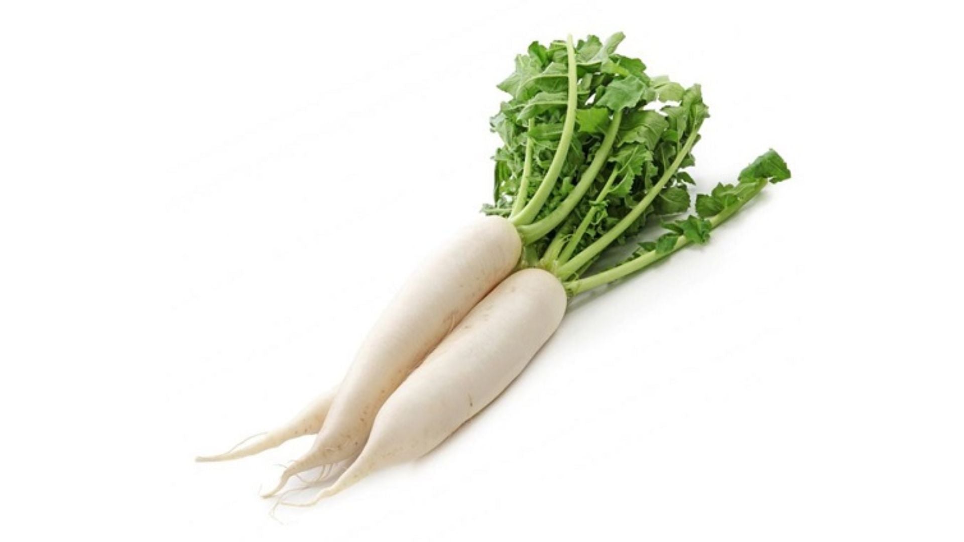 Fresh White Radish Bunch