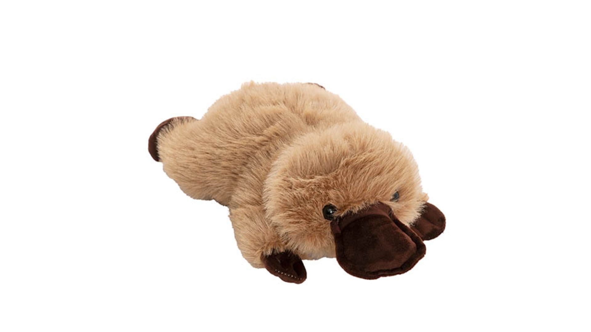 Platypus Penny Plush Soft Toy Brown (32x20cmHT)