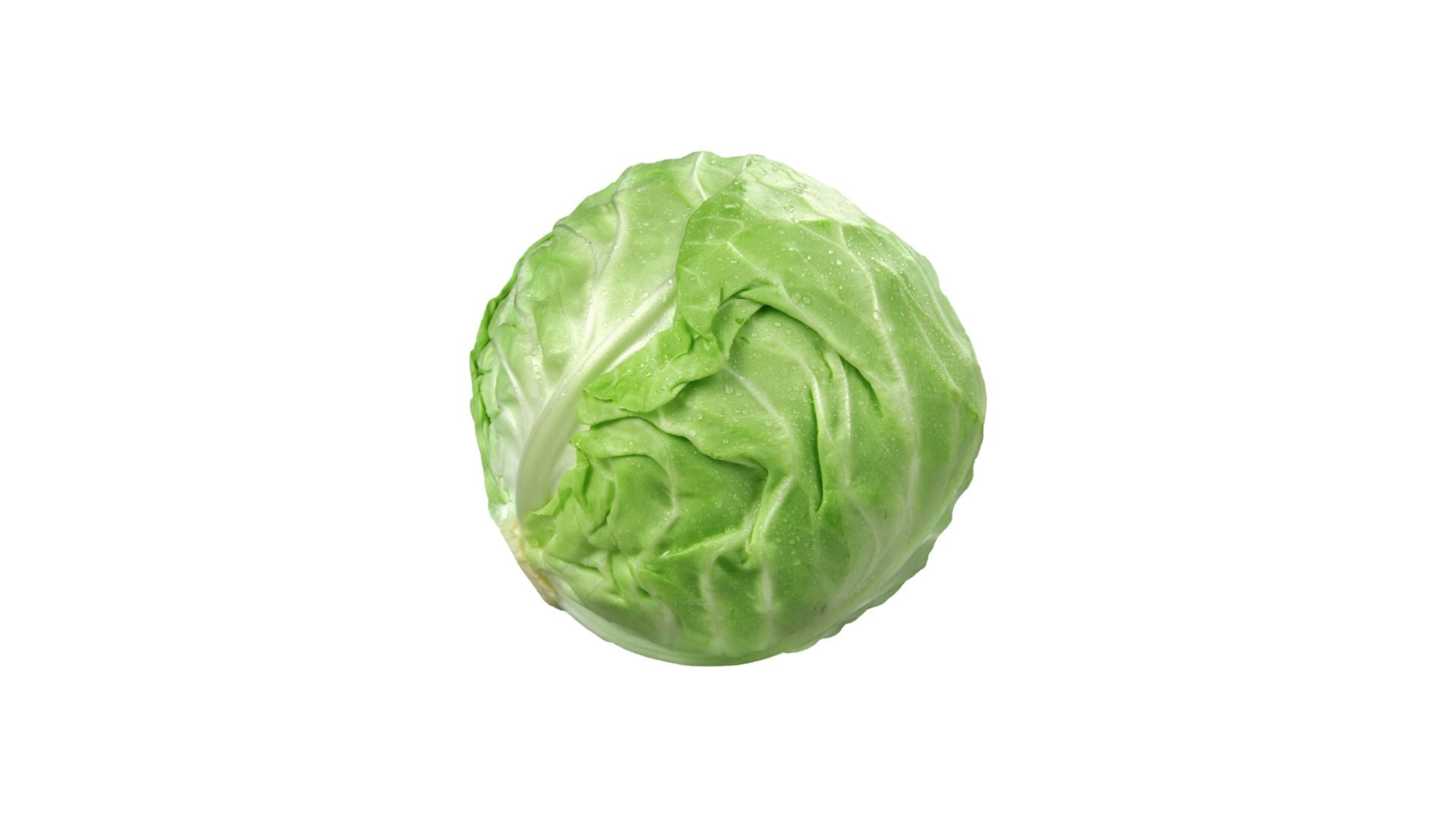 Green Cabbage Each