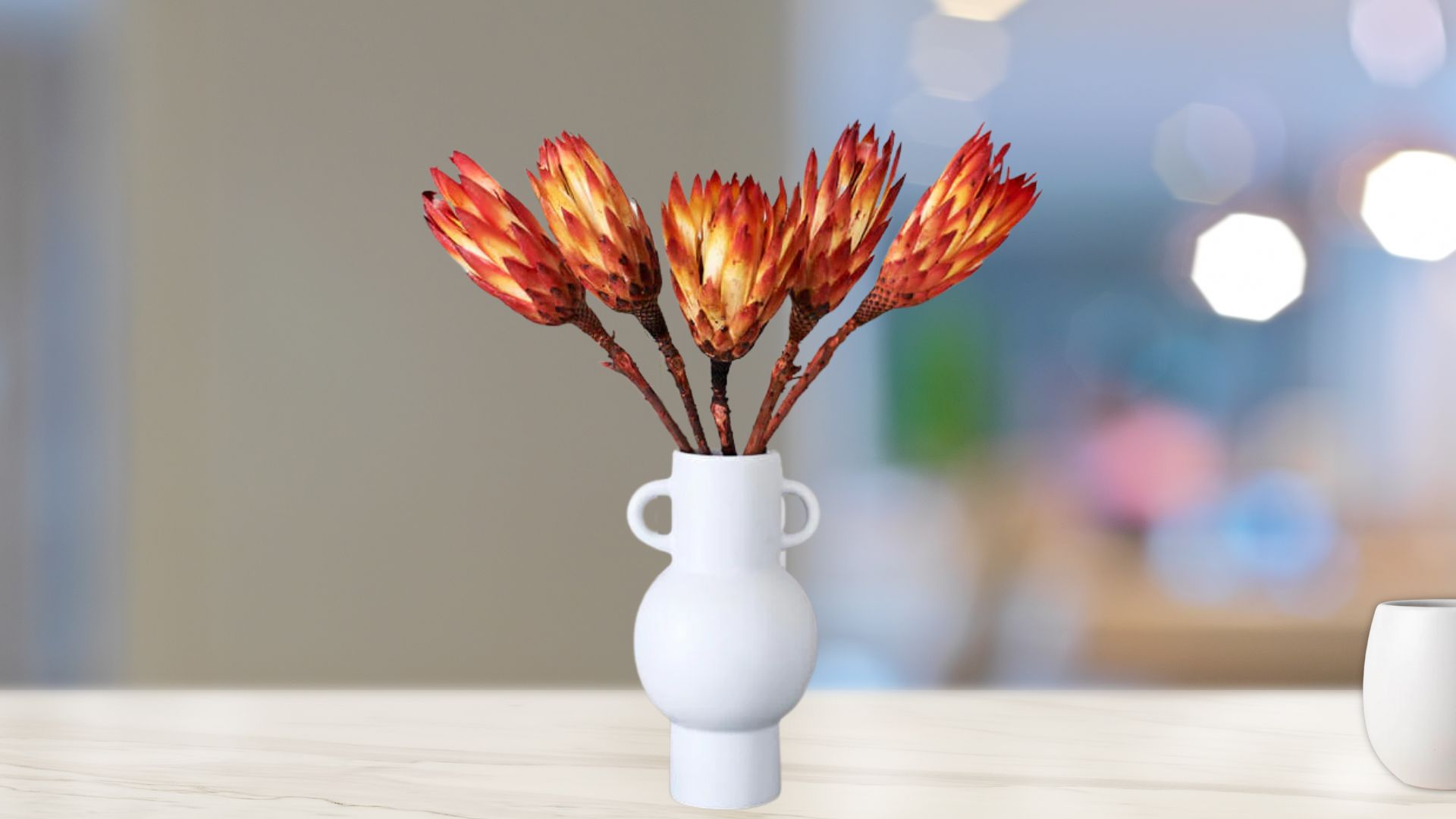 Fresh Protea Repens 5 Stems