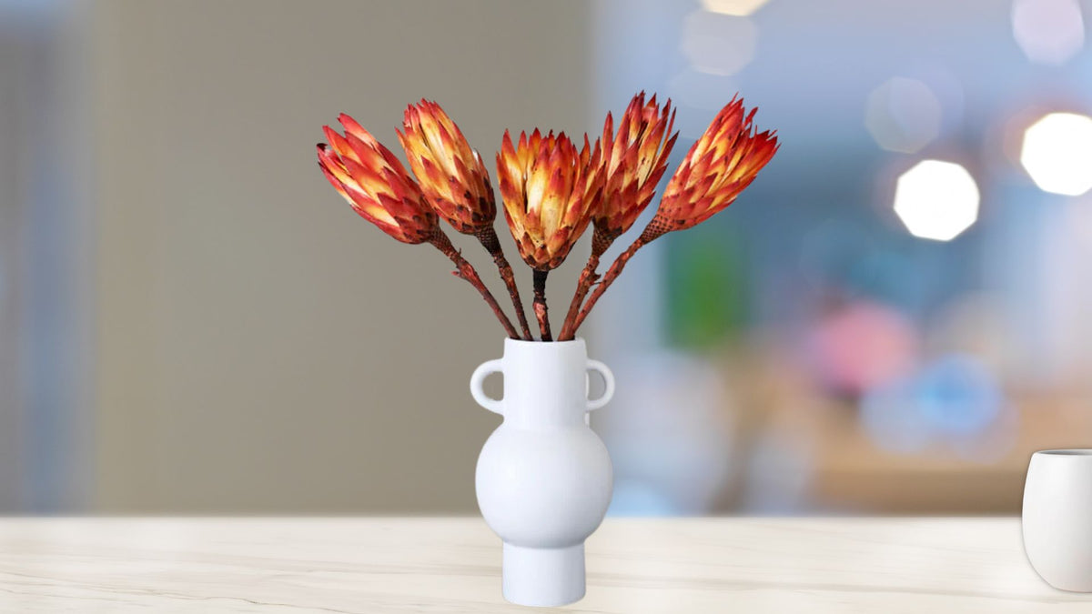 Fresh Protea Repens 5 Stems – Press & Grocers Co.