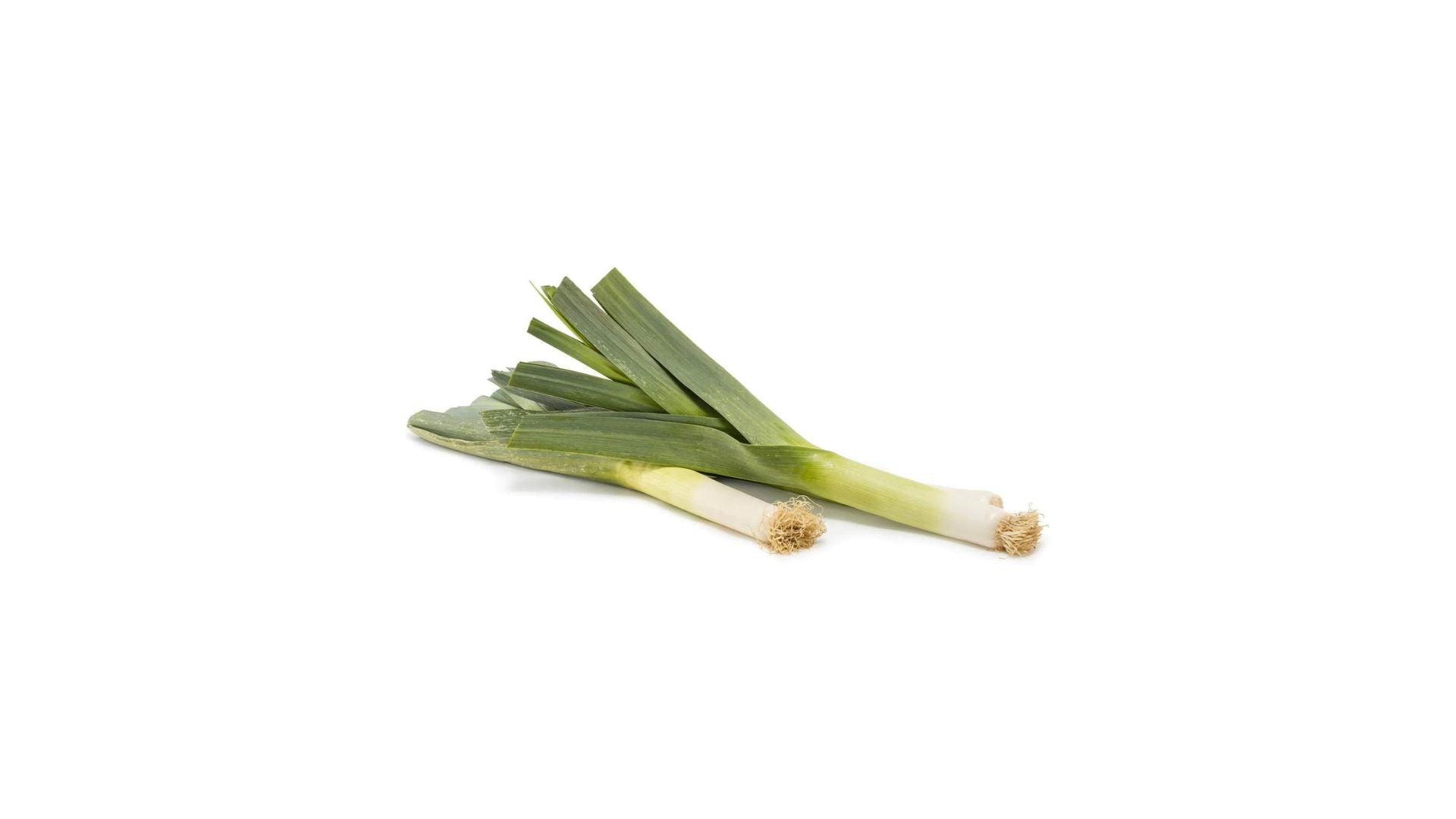Fresh Leek