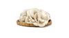 Oyster Mushroom Pack Ea