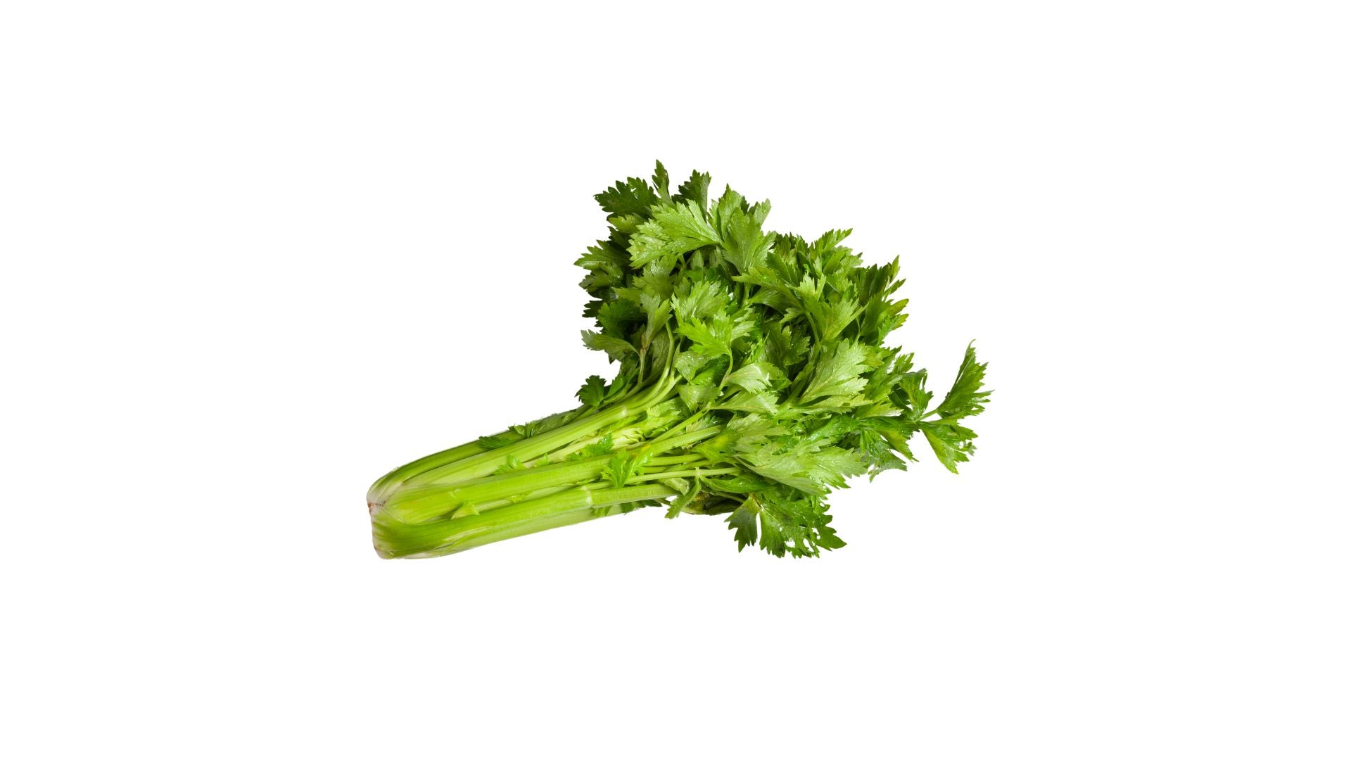Celery Bunch