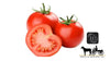 Gourmet Tomatoes 1kg