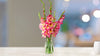 Fresh Gladioli Bunch