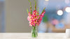 products/Gladioli_20Bunch-629d61ead85c8d00221352dc.png