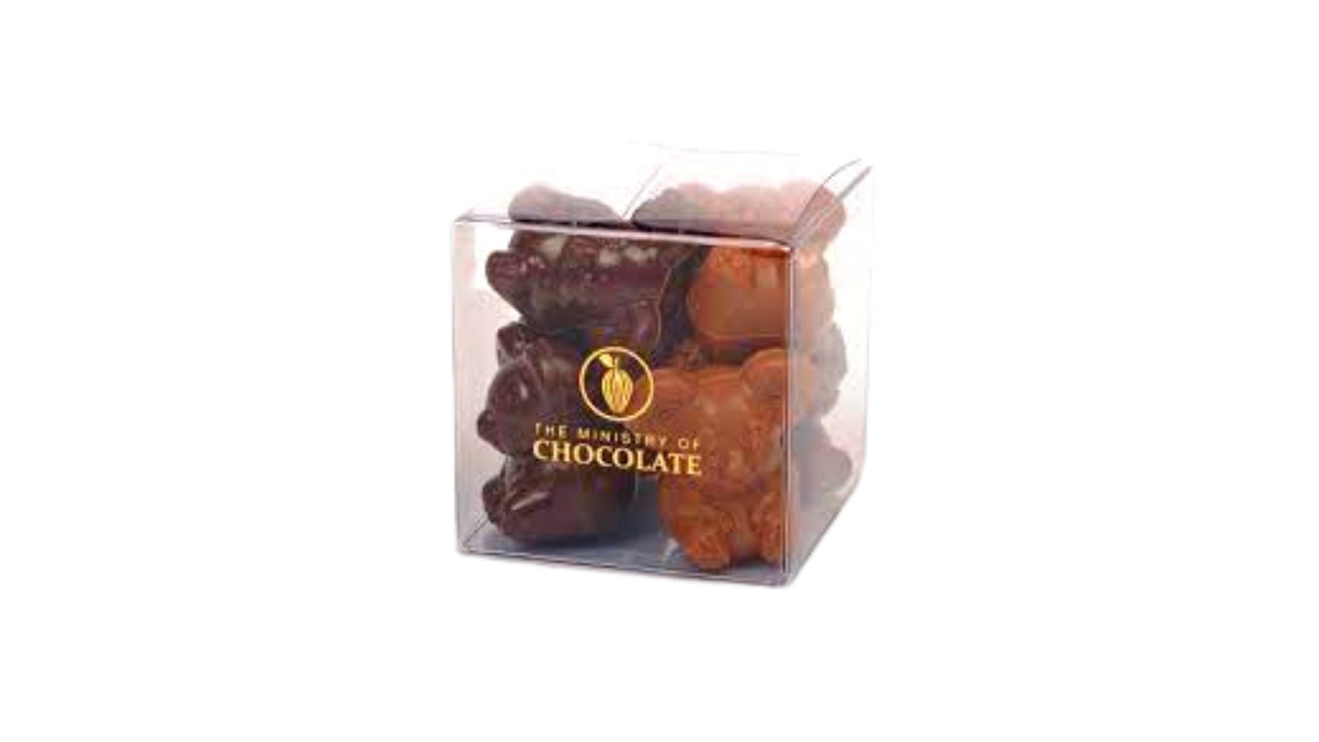 Ministry of Chocolate Koala Cube