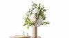 Fresh Small White Waratah Flowers