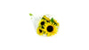 Fresh Sunflower Bunch
