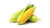 Corn Cob Ea