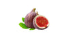 Fig 2pk