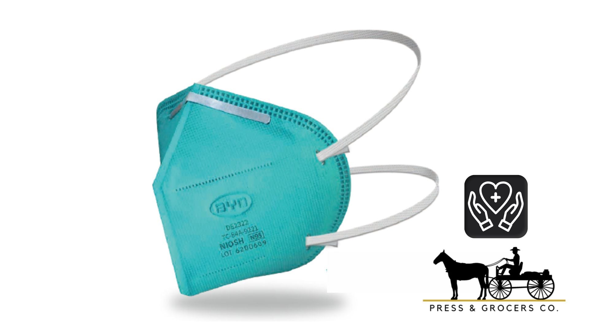 N95 Respirator Ea
