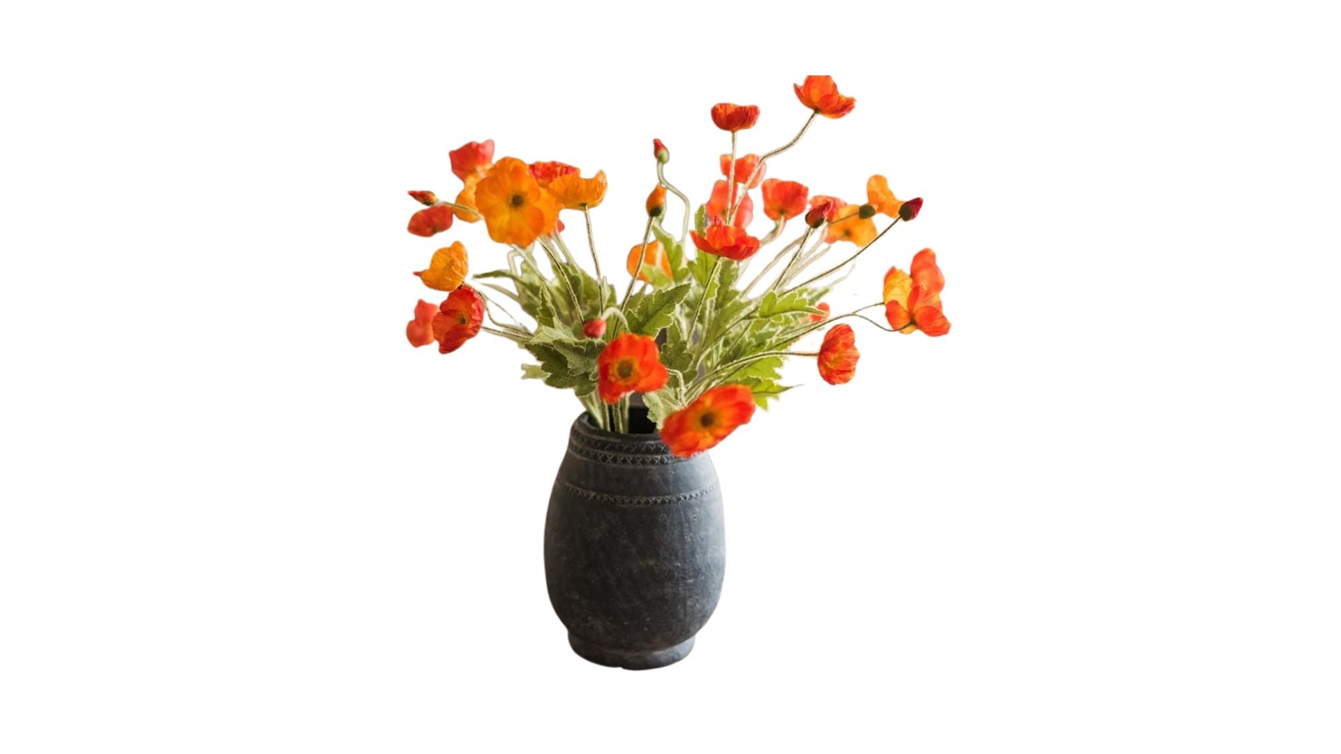 Fresh Poppy Flowers
