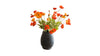 Fresh Poppy Flowers