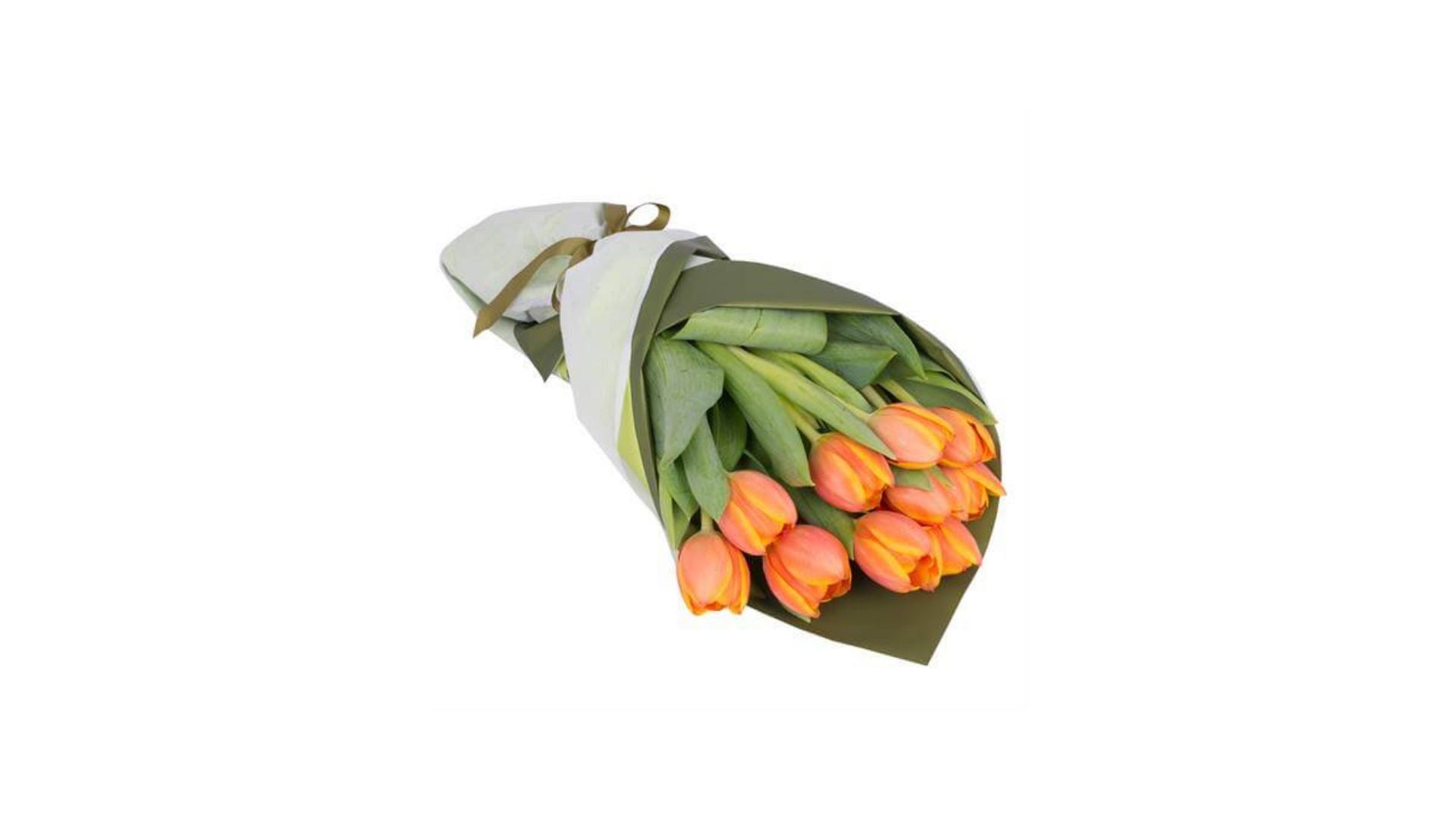 Fresh Tulips